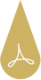 pdf-icon